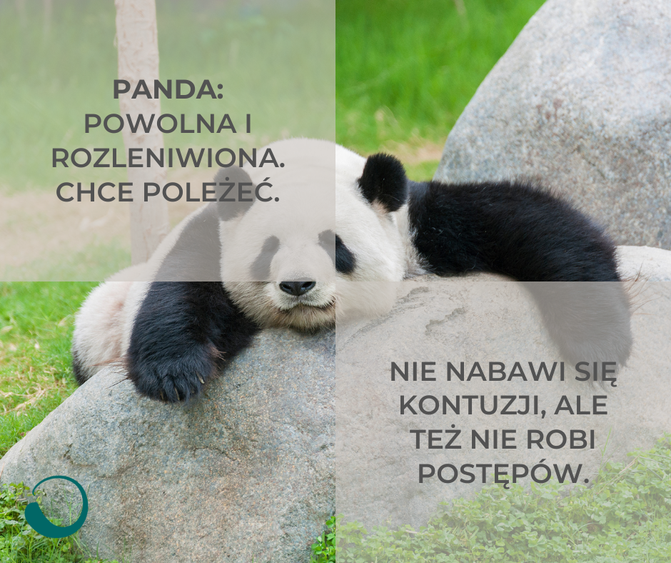 dwa typy praktykujących jogę - panda